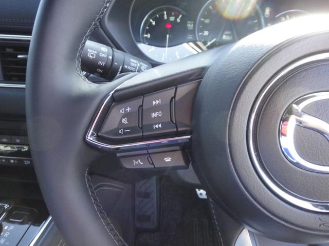 ＣＸ－８ ＸＤ　エクスクルーシブモード　１０．２５インチナビＤＴＶ　アルパイン後席モニター　ＢＯＳＥサウンド　黒レザーシート　シートベンチレーション＆シートヒーター＆パワーシート　シートポジションメモリー　パワーリアゲート　ルーフレール（42枚目）