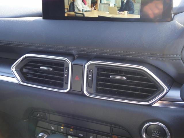 ＣＸ－８ ＸＤ　エクスクルーシブモード　１０．２５インチナビＤＴＶ　アルパイン後席モニター　ＢＯＳＥサウンド　黒レザーシート　シートベンチレーション＆シートヒーター＆パワーシート　シートポジションメモリー　パワーリアゲート　ルーフレール（45枚目）