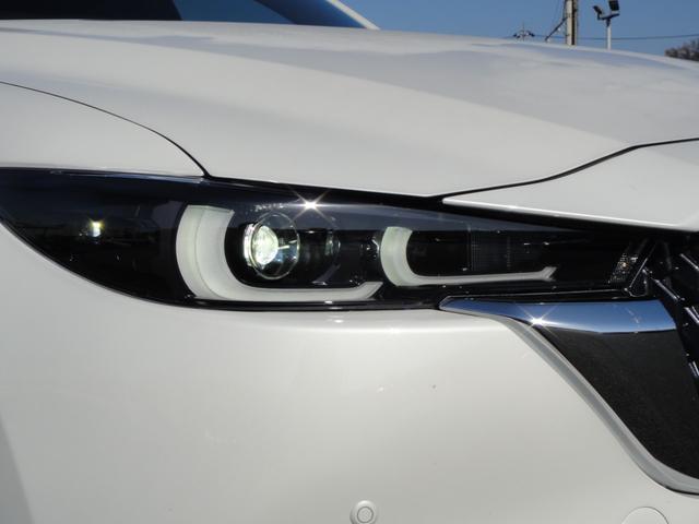 ＣＸ－８ ＸＤ　エクスクルーシブモード　１０．２５インチナビＤＴＶ　アルパイン後席モニター　ＢＯＳＥサウンド　黒レザーシート　シートベンチレーション＆シートヒーター＆パワーシート　シートポジションメモリー　パワーリアゲート　ルーフレール（68枚目）