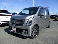 直接引取限定】ハイブリッドスティングレー オス 目測25cm