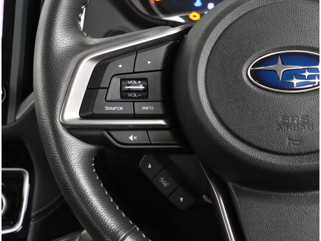 フォレスター アドバンス　ビルトインダイアトーンナビＥＴＣサイドカメラ装備（23枚目）