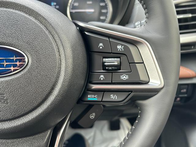 フォレスター アドバンス サンルーフ 茶本革シート ルーフレール パワーリアゲート(21枚目)