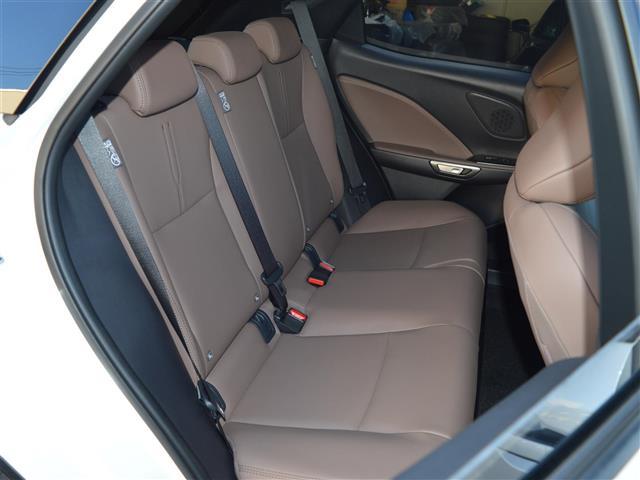 LBX エレガント(25枚目)