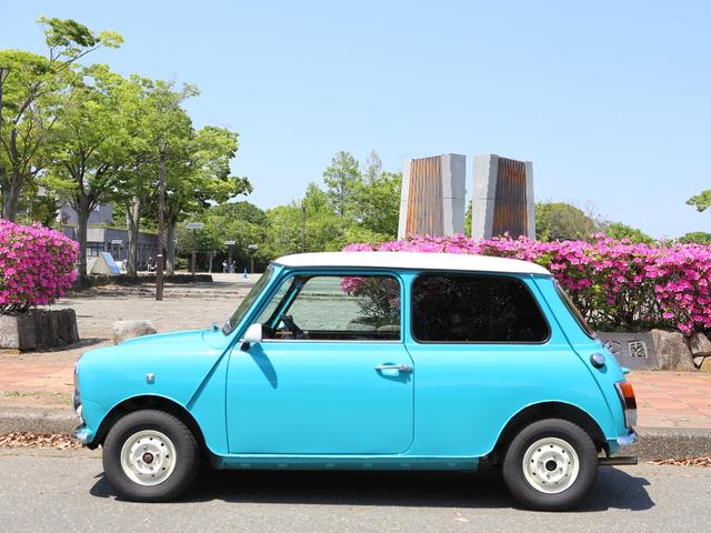 クーパー(9枚目)