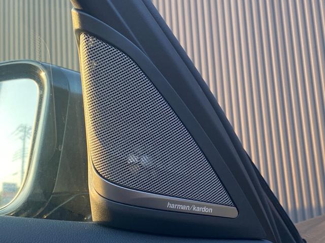 ５シリーズ ５２３ｄ　Ｍスポーツ　ハイラインパッケージ　タッチパネルｉＤｒｉｖｅナビ　１２セグ　全方位カメラ　オイスター革Ｓ　全席Ｓヒーター　ＨａｒｍａｎＫａｒｄｏｎ　インテリセーフＰＫＧ　ＡＣＣ　ＬＣＷ　ＬＤＷ　ＨＵＤ　ＬＥＤオートハイビーム　Ｐトランク（19枚目）