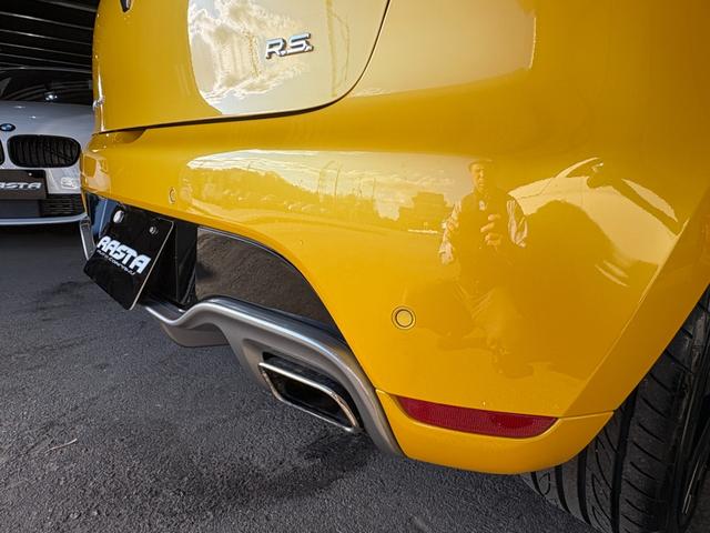 ルーテシア ルノースポール　シャシーカップ　ワンオーナー車　後期モデル　メモリーナビ　フルセグ　ＤＶＤ　Ｂｌｕｅｔｏｏｔｈ　バックカメラ　Ｒ．Ｓ－Ｄｒｉｖｅ　大型リアスポ　クルコン　パドルシフト　ＥＴＣ　Ｂａｓｓ　Ｒｅｆｌｅｘ　レッドキャリパー（71枚目）