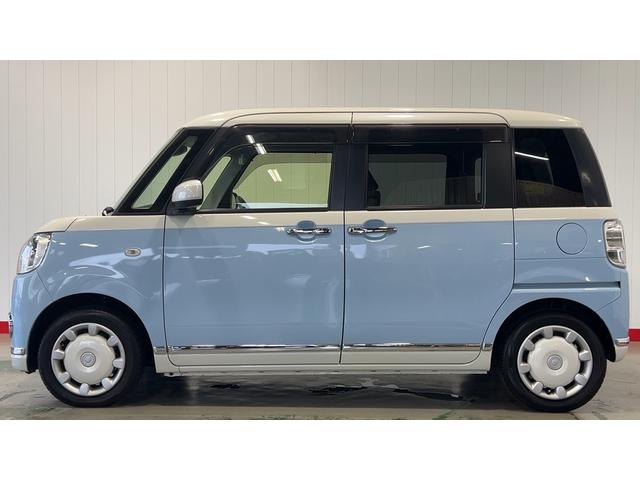 ムーヴキャンバス Ｇメイクアップ　ＳＡＩＩ（30枚目）
