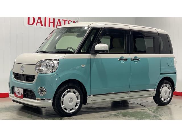 ムーヴキャンバス Ｇメイクアップリミテッド　ＳＡＩＩＩ（29枚目）