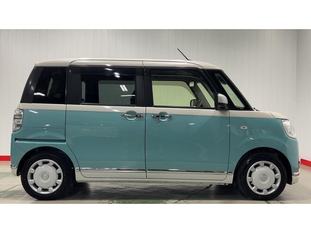 ムーヴキャンバス Ｇメイクアップリミテッド　ＳＡＩＩＩ（37枚目）