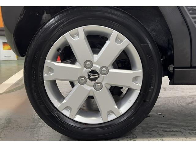 タフト G(8枚目)