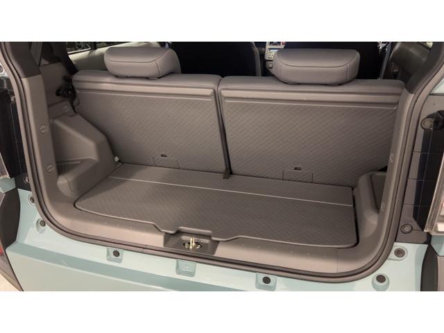 タフト G(17枚目)