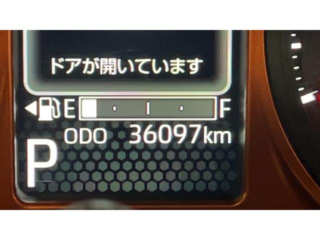 タフト G(21枚目)