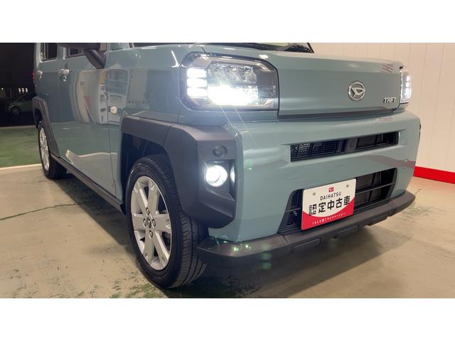 タフト G(33枚目)