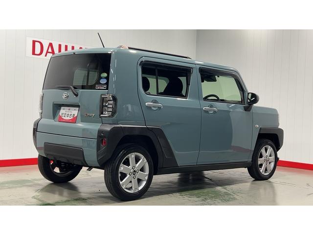 タフト G(37枚目)