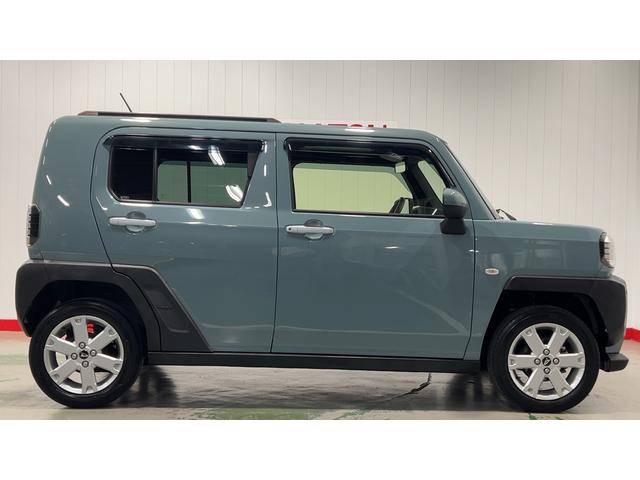 タフト G(38枚目)