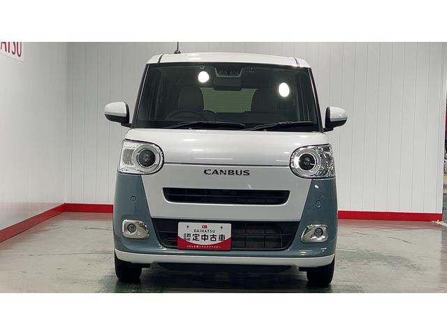 ムーヴキャンバス ストライプスG(27枚目)