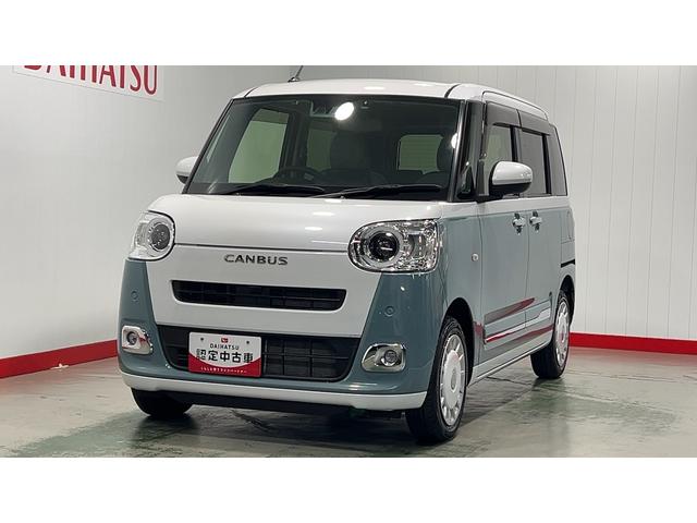 ムーヴキャンバス ストライプスG(28枚目)