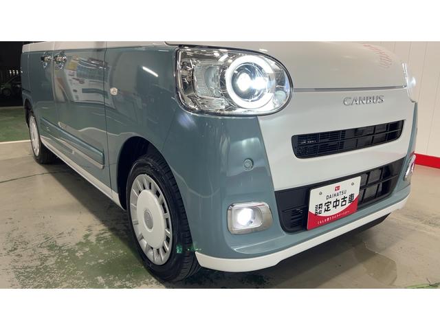 ムーヴキャンバス ストライプスG(32枚目)