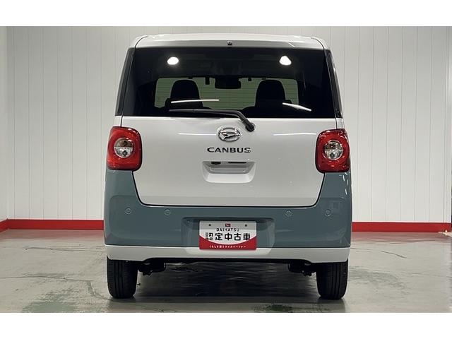 ムーヴキャンバス ストライプスG(33枚目)