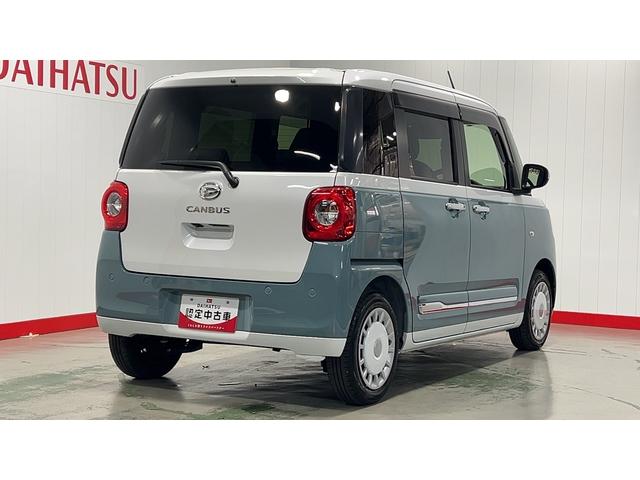 ムーヴキャンバス ストライプスG(35枚目)