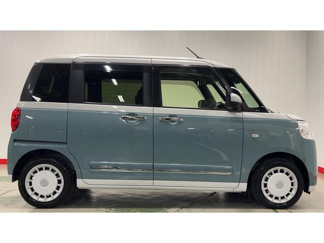 ムーヴキャンバス ストライプスG(37枚目)