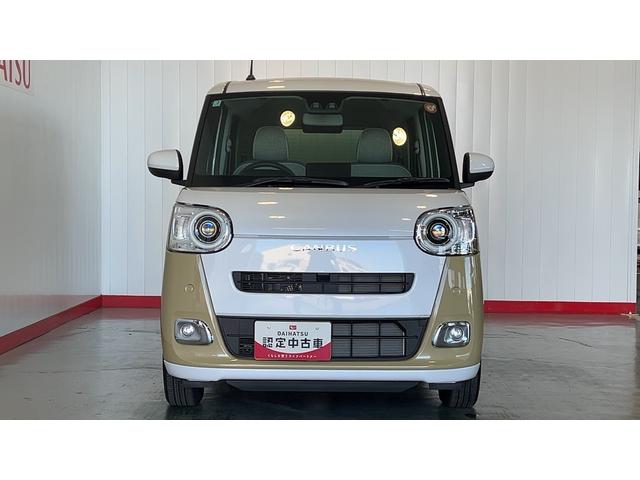 ムーヴキャンバス ストライプスG(27枚目)