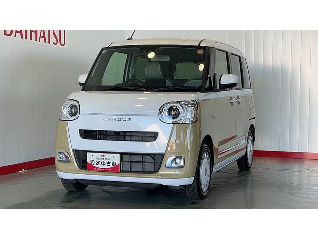 ムーヴキャンバス ストライプスG(28枚目)