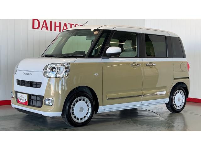 ムーヴキャンバス ストライプスG(29枚目)