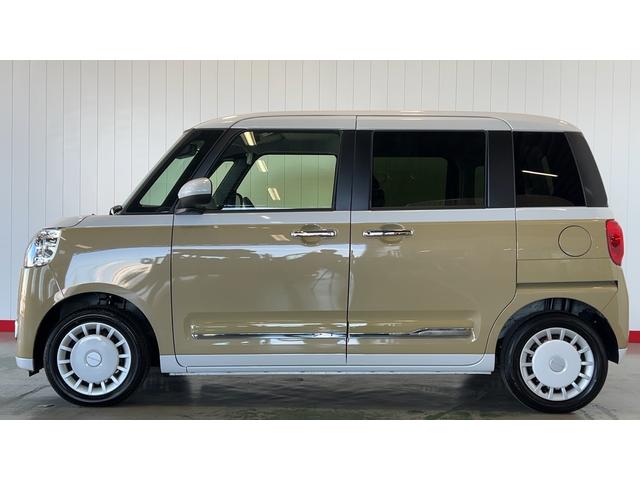 ムーヴキャンバス ストライプスG(30枚目)