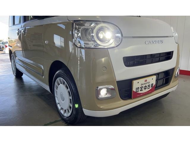 ムーヴキャンバス ストライプスG(32枚目)