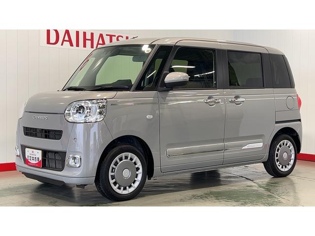 ムーヴキャンバス セオリーＧ（29枚目）