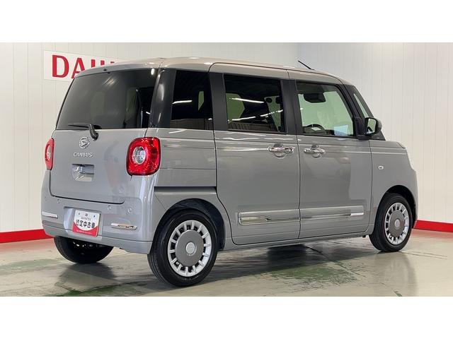 ムーヴキャンバス セオリーＧ（36枚目）