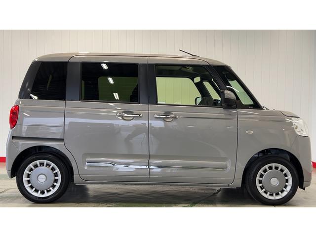 ムーヴキャンバス セオリーＧ（37枚目）