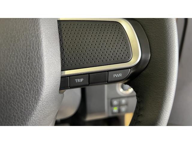 タフト Ｇ　ダーククロムベンチャー（28枚目）