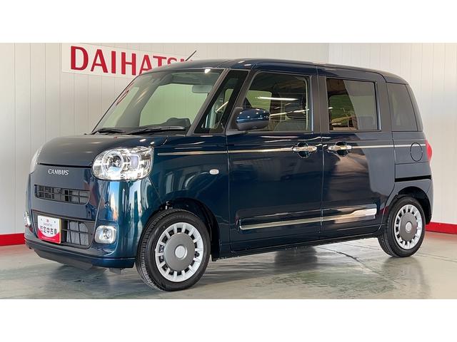 ムーヴキャンバス セオリーＧ（29枚目）