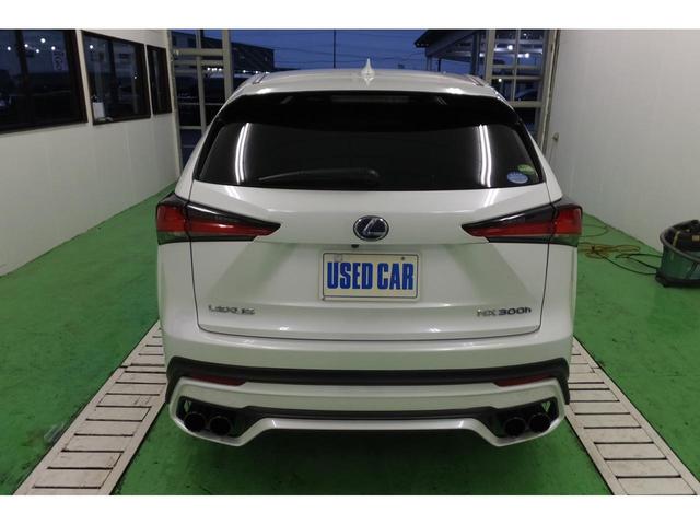 NX300h Fスポーツ(6枚目)