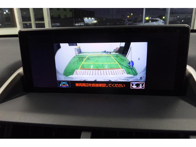 NX300h Fスポーツ(17枚目)