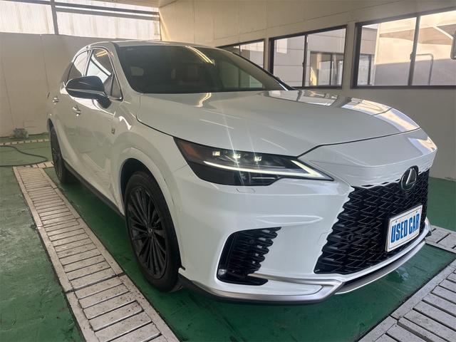 RX RX350 Fスポーツ 4WD 14インチディスプレイオーディオ ブラインドスポットモニター パノラミックビューモニター ムーンルーフ アドバンスドパーク デジタルインナーミラー(3枚目)