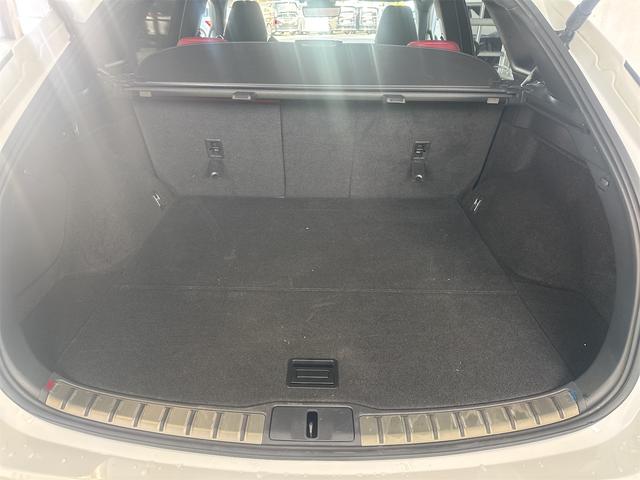 RX RX350 Fスポーツ 4WD 14インチディスプレイオーディオ ブラインドスポットモニター パノラミックビューモニター ムーンルーフ アドバンスドパーク デジタルインナーミラー(9枚目)