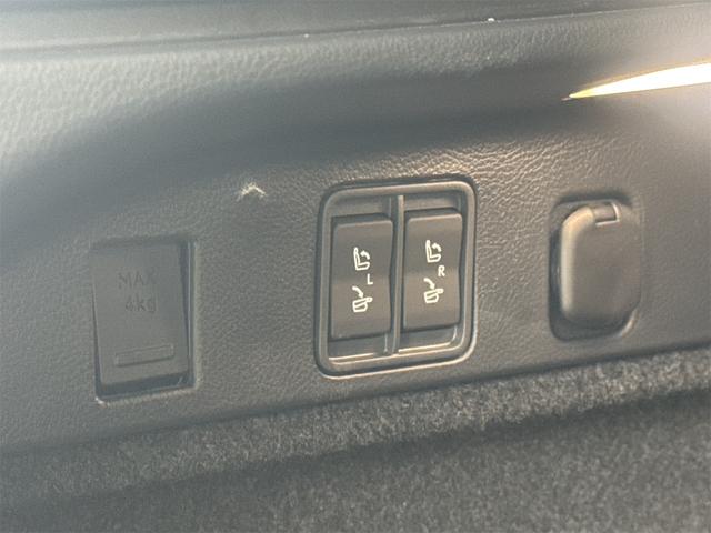 RX RX350 Fスポーツ 4WD 14インチディスプレイオーディオ ブラインドスポットモニター パノラミックビューモニター ムーンルーフ アドバンスドパーク デジタルインナーミラー(10枚目)