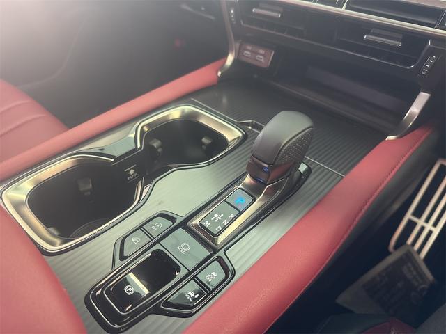 RX RX350 Fスポーツ 4WD 14インチディスプレイオーディオ ブラインドスポットモニター パノラミックビューモニター ムーンルーフ アドバンスドパーク デジタルインナーミラー(19枚目)