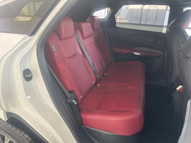 RX RX350 Fスポーツ 4WD 14インチディスプレイオーディオ ブラインドスポットモニター パノラミックビューモニター ムーンルーフ アドバンスドパーク デジタルインナーミラー(40枚目)