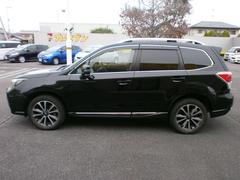 ݾڡ֥磻ݾڡפϣǯ̵֤ݾڤǤԵΥ¤Ϥޤ񣲣ӥбĺޤ 2