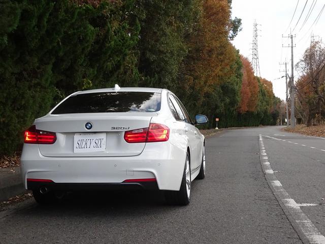 3シリーズ 320d Mスポーツ レーンアシスト バックカメラ PDC パドルシフト クルーズコントロール 純正AW ミラー一体ETC パワーシート(49枚目)