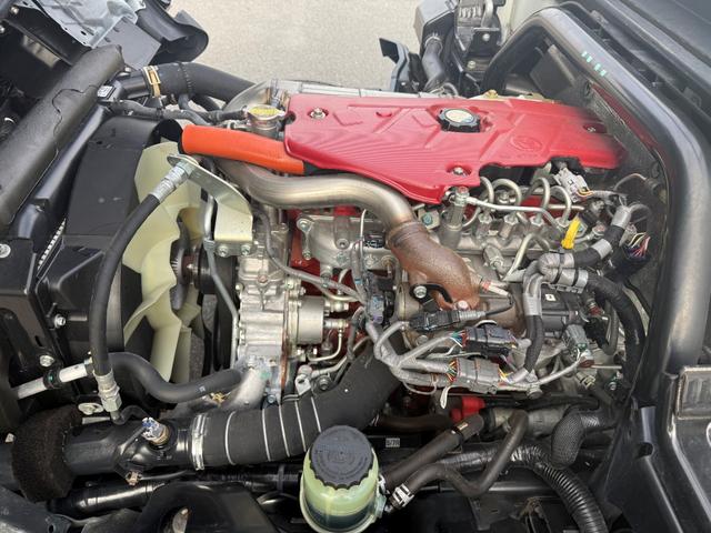 デュトロ (20枚目)