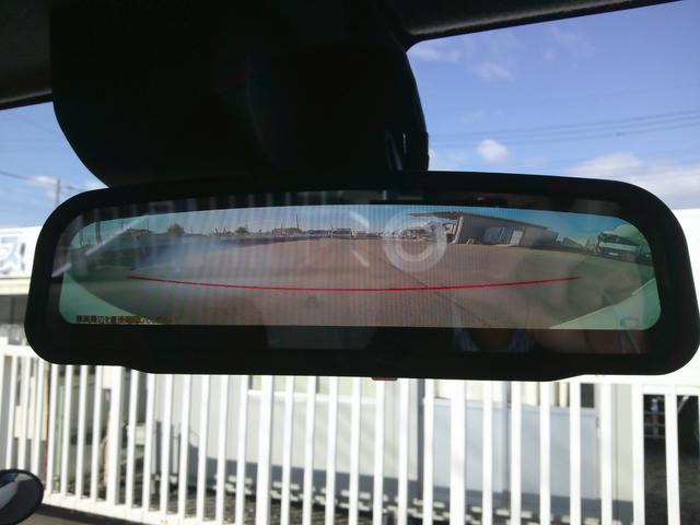 デュトロ (20枚目)