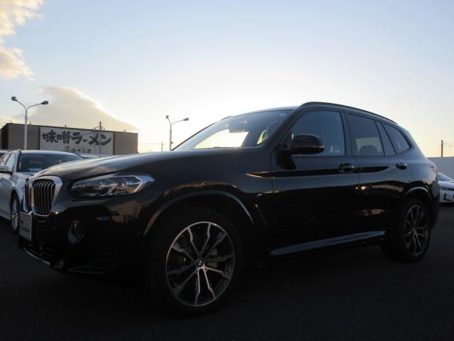 X3 xDrive 20d Mスポーツ ETC ・ACC・純正ナビ(10枚目)