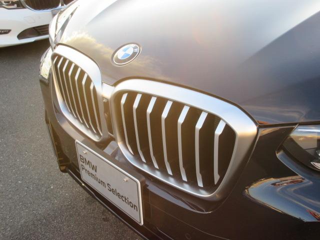X3 xDrive 20d Mスポーツ ETC ・ACC・純正ナビ(12枚目)