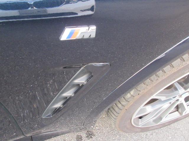 X3 xDrive 20d Mスポーツ ETC ・ACC・純正ナビ(19枚目)