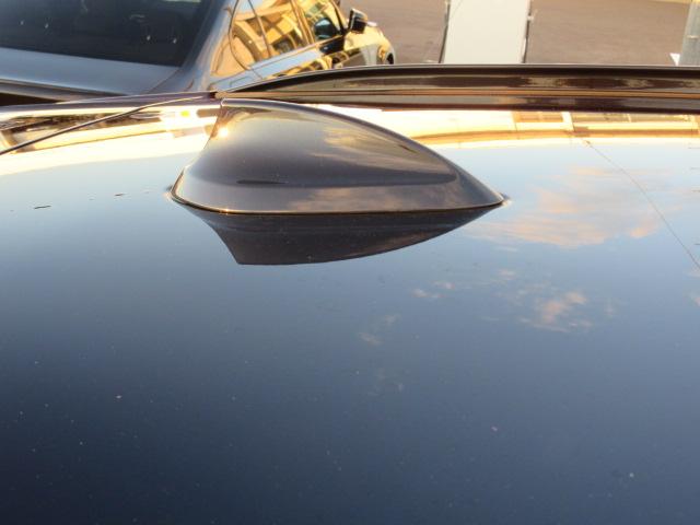 X3 xDrive 20d Mスポーツ ETC ・ACC・純正ナビ(23枚目)